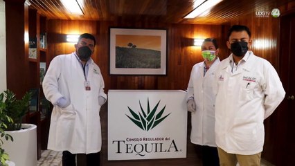 Consorcio de Investigación del sector tequilero invierte 8 MDP en tres proyectos