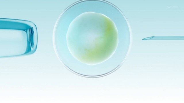 Senate Democrats Will Attempt to Pass Legislation Protecting IVF