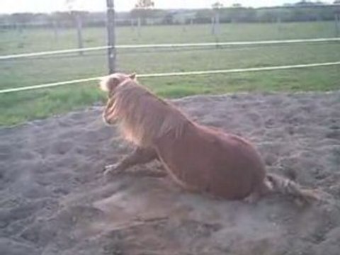 Mon loulou qui s'en donne a coeur joie!