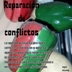 Miguel Mouawad- Construyendo relaciones saludables: