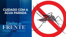 Dengue: Ciclo de vida do mosquito no calor é de 7 dias | LINHA DE FRENTE