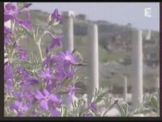 Les cyclades... Delos