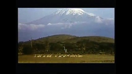 Ace Ventura en Afrique (1995) - Bande annonce