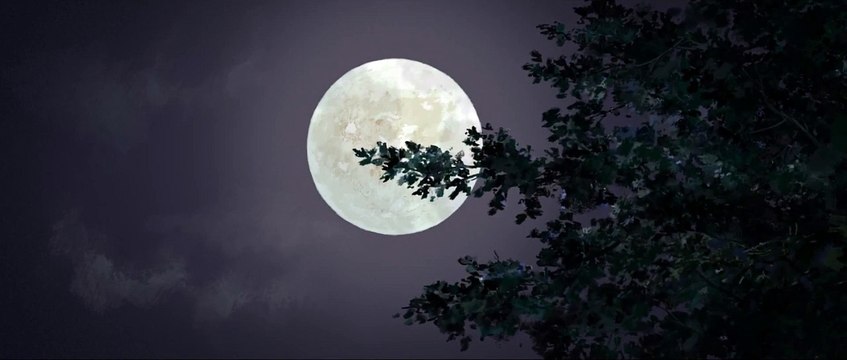 Le jour des corneilles (2012) - Bande annonce