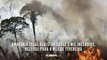 Amazônia Legal registra quase 3 mil incêndios, recorde para o mês de fevereiro