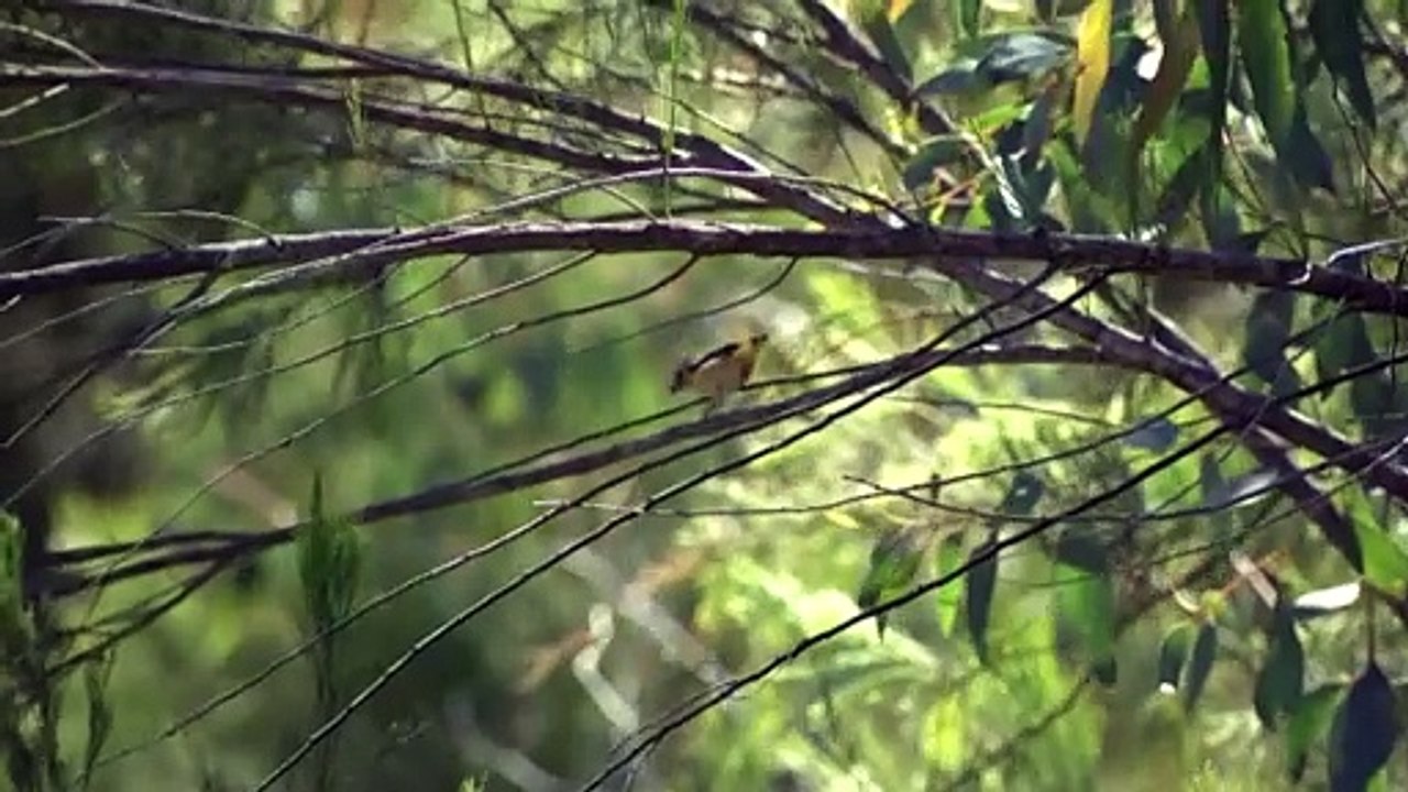 ACT's planning minister approves estate development plans