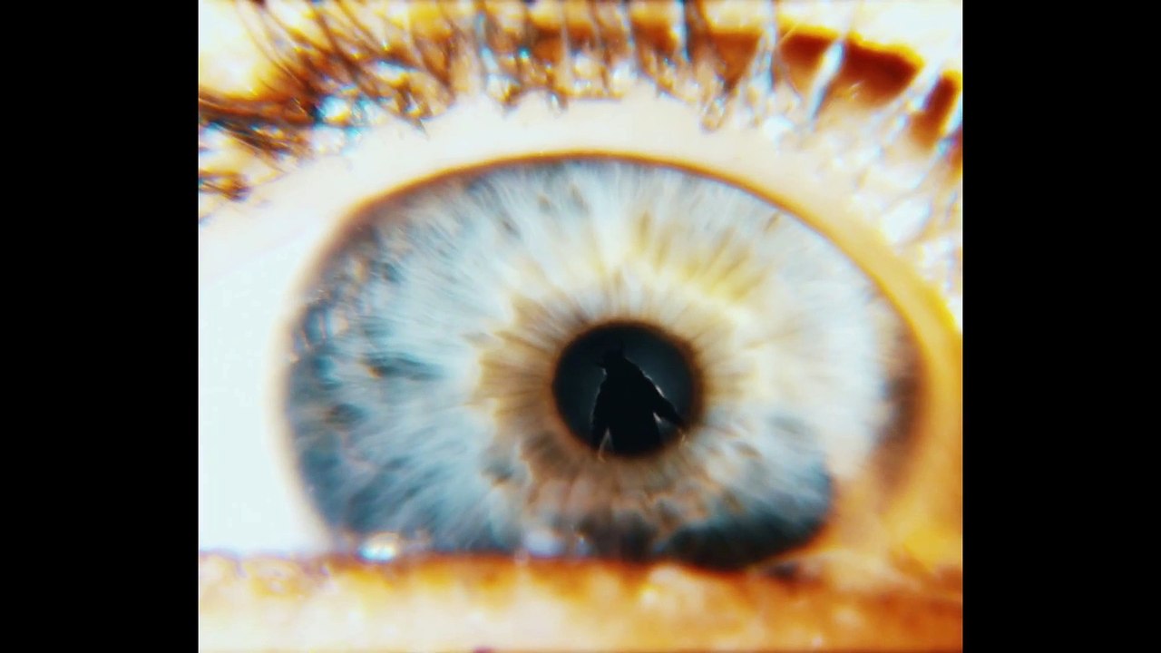 The Skinwalkers American Werewolves 2 Movie Clip