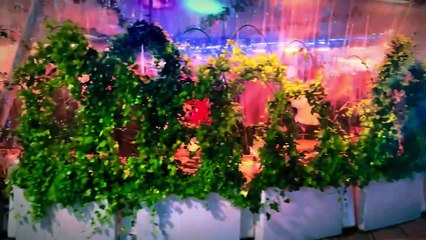 Dancing Queens Under the Midnight Sun: Stockholm Nightlife at its Peak! 