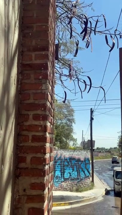 Residentes de Santa Anita se quejan de los baches y una fuga de aguas negras ubicada sobre la calle Agustín Rivera al cruce con la calle Abasolo