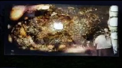 Camel Spiders - Angriff der Monsterspinnen | movie | 2011 | Official Trailer