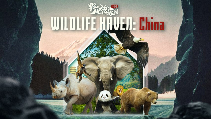 Wildlife Haven China_中国野生动物家园 - video Dailymotion