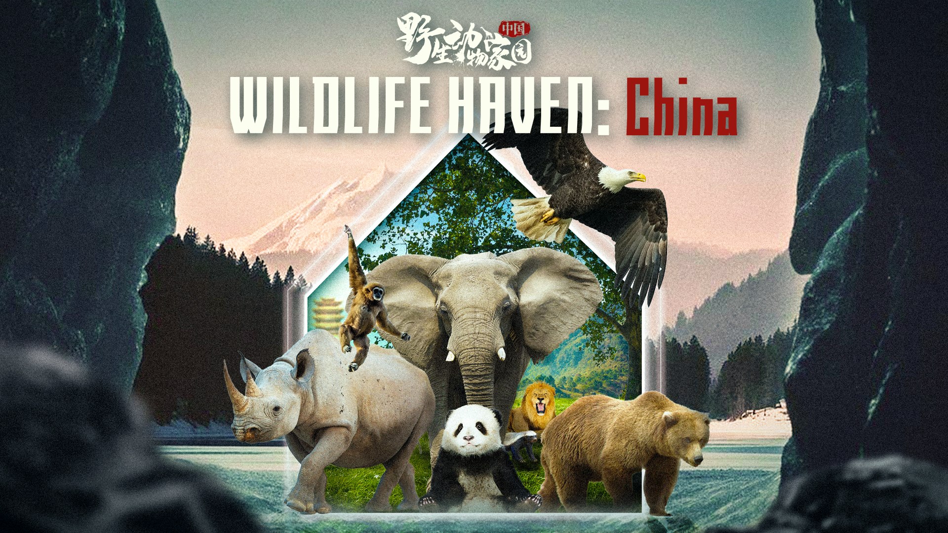 中國珍貴野生動物　中国珍貴野生動物　WILDLIFE OF CHINA　中国語？ Wildlife Haven China_中国野生动物家园 - video Dailymotion