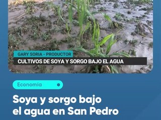 Soya y sorgo bajo el agua en San Pedro