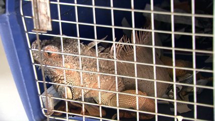 Hunting Season Officially Ends This Thursday 🦌