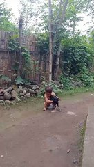 "Petualangan Ceria: Si Kecil dan Kebersamaan Ajaib dengan Ayam Kesayangannya"