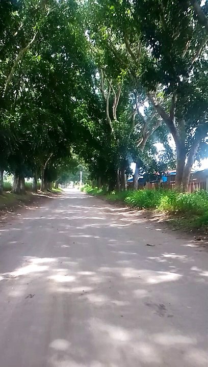 may place