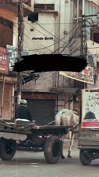 Wo Mera Tha Mera Apna Nahi Tha | وہ میرا تھا میرا اپنا نہیں تھا | Tehzeeb Hafi Poetry | Urdu Poetry #hindipoetry #shayeri #urdupoetry #hindipoetry #tehzeebhafipoetry #jaunelia #jauneliapoetry #jauneliashayari #jaunelialegend #jaun #jaunelia #oمr