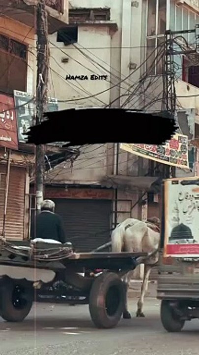 Wo Mera Tha Mera Apna Nahi Tha | وہ میرا تھا میرا اپنا نہیں تھا | Tehzeeb Hafi Poetry | Urdu Poetry #hindipoetry #shayeri #urdupoetry #hindipoetry #tehzeebhafipoetry  #jaunelia #jauneliapoetry #jauneliashayari #jaunelialegend #jaun #jaunelia #oمr