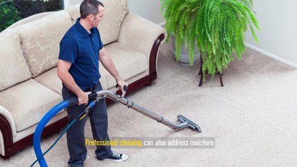 Allergies and Carpet Cleaning: Enhancing Indoor Air Quality