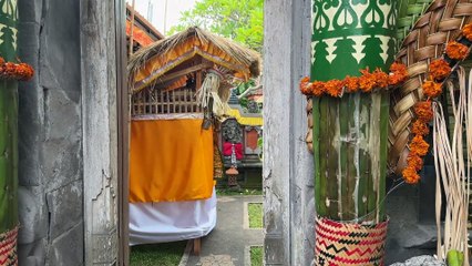 50000 Rs Per Night LUXURY TREE HOUSE in Bali || Full Experience ||