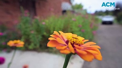 Beloved Bendemeer business goes up for sale