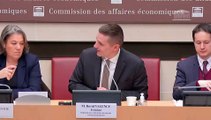 Délégation aux collectivités territoriales et à la décentralisation : Mme Sonia De La Provôté, présidente de la FNAU et M. Joël Baud-Grasset, président de la FNCAUE - Mercredi 28 février 2024