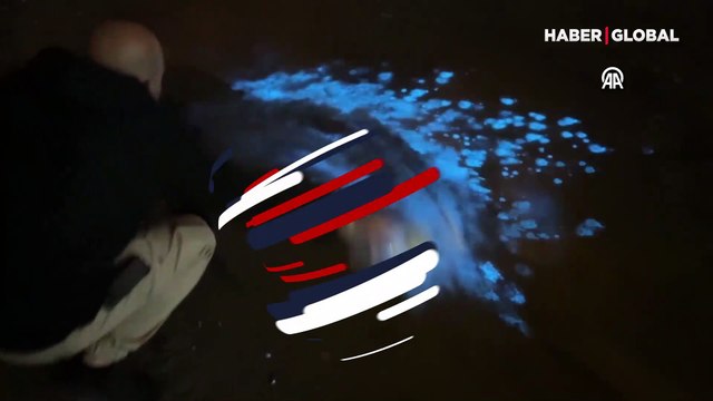 Bursa kıyılarında planktonlar patladı! Eşi benzeri az olay: Mavi ışık ortaya çıktı