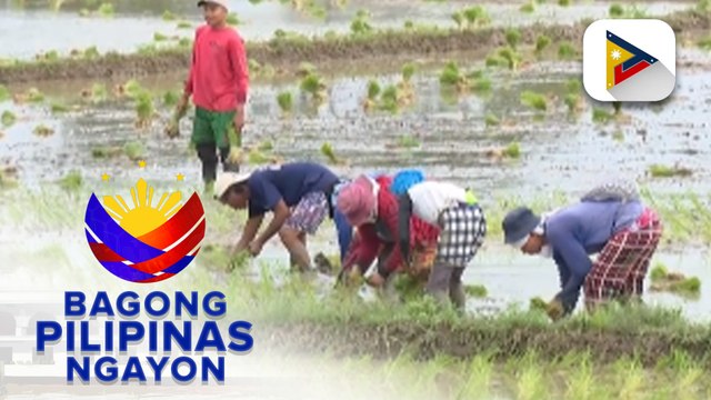 Panayam kay Spokeperson Asec. Arnel De Mesa ng Department of Agriculture