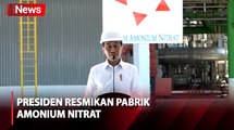 Dorong Kemandirian Pangan Nasional, Presiden Jokowi Resmikan Pabrik Amonium Nitrat