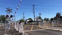 Stop at a red signal at the Adamstown Gates level crossing | Newcastle Herald | February 29, 2023