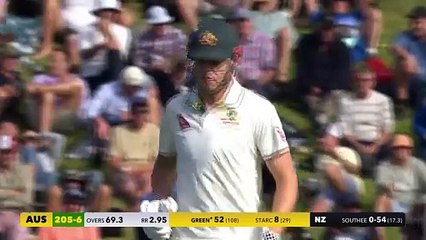 Green feasts on New Zealand attack with clutch day one century