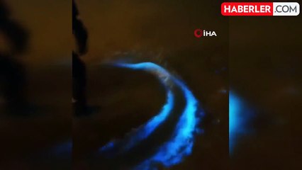 Marmara Denizi'nde Alg Patlaması: Deniz Maviye Boyandı