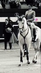 video fernando adrián