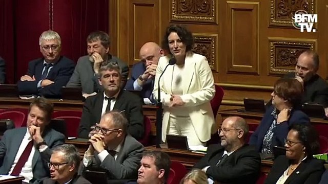 IVG dans la Constitution - Incident au Sénat après l'intervention du sénateur Reconquête Stéphane Ravier: Assieds-toi et ferme-la! - Regardez