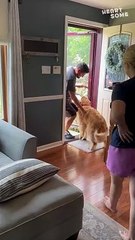 Big Brother Love at First Sight! Welcomes New Baby Brother Home! #PuppyLove