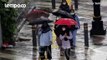 BMKG Sebut Puncak Musim Hujan Sudah Lewat, Cuaca Ekstrem Berpotensi Hingga 8 Maret