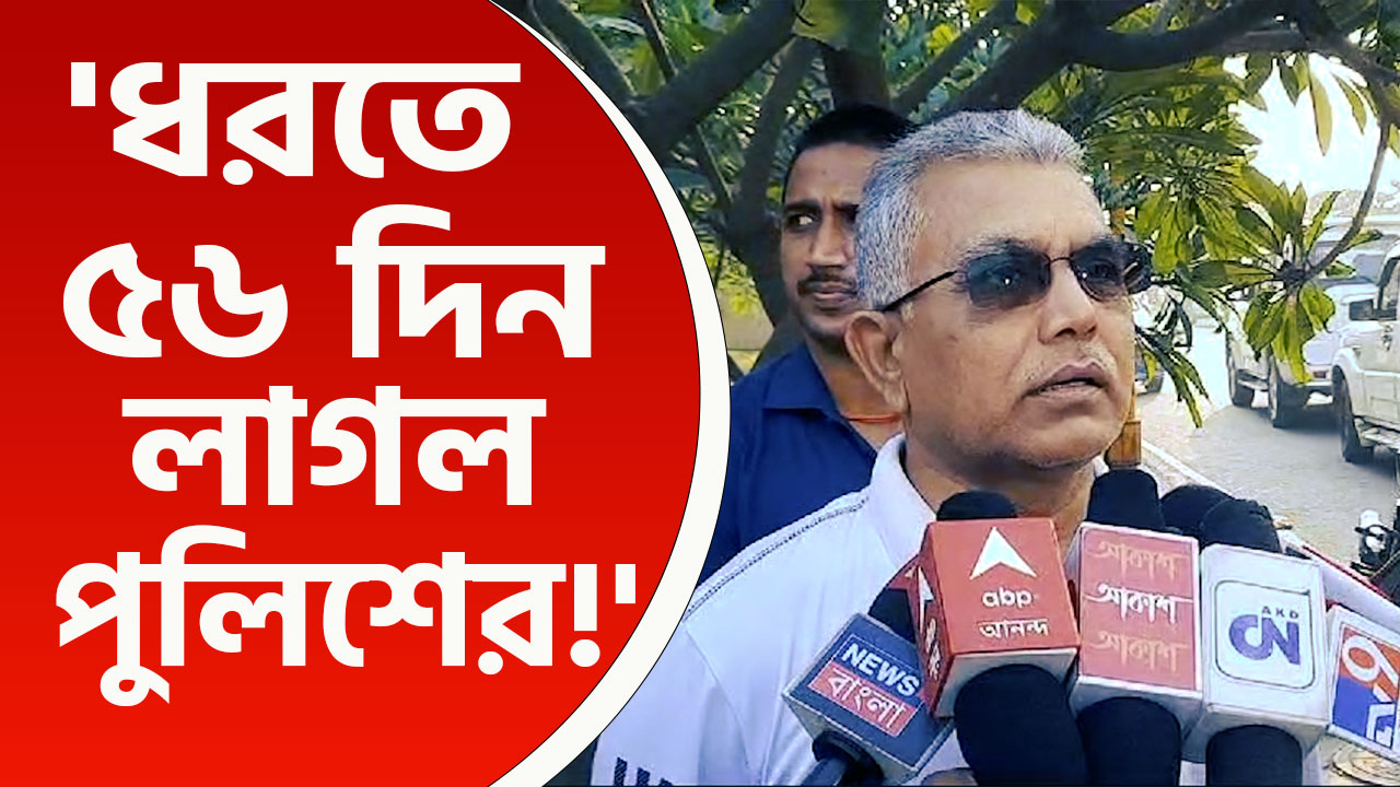 'একটা ছিঁচকে মস্তানকে ধরতে ৫৬ দিন লাগলো, রাঘব বোয়ালদের পুলিশ ধরবে কবে?' কটাক্ষ দিলীপ ঘোষের