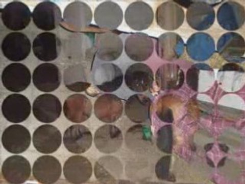 SOuvenir des plus belles années de notre vie