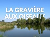 Vue aérienne sur la Gravière aux oiseaux du Roannais - Vu Du Ciel - TL7, Télévision loire 7