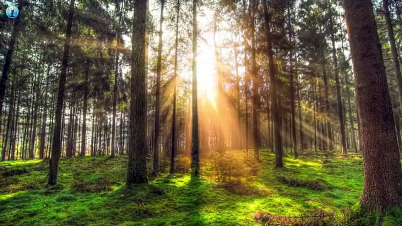 Meditation Music And Relaxing prt2