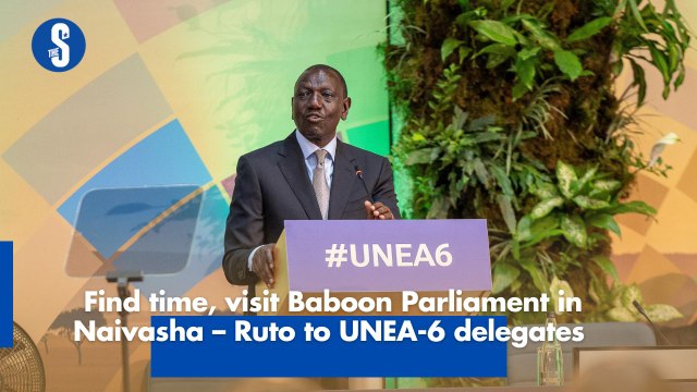 Find time, visit Baboon Parliament in Naivasha – Ruto to UNEA-6 delegates