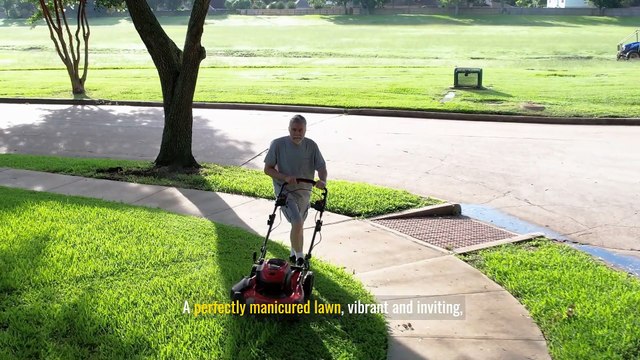 Achieving the Perfect Green Lawn: How Local Lawn Care Experts Can Help