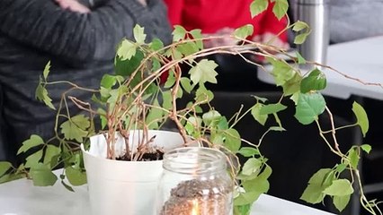 Warsztaty Pełne Zdrowia w Społecznym Ministerstwie ds. Samotności w Katowicach