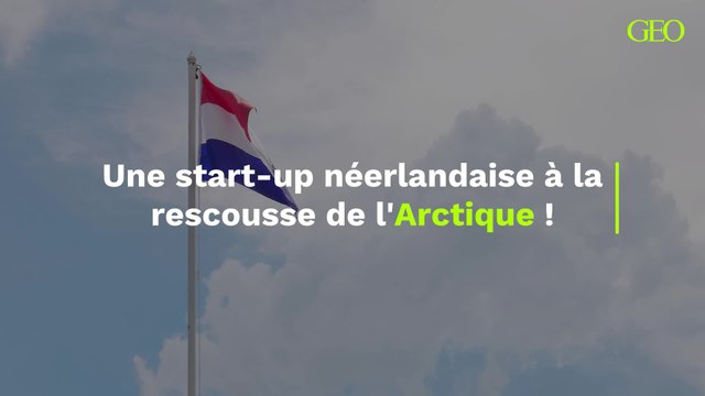 Pays-Bas : une start-up s’inspire de la création des patinoires pour restaurer la banquise arctique