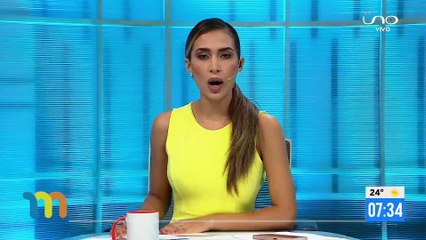 Detienen a una extranjera tras operativo de Interpol