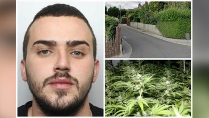 Download Video: Leeds headlines 29 February: Harehills cannabis ‘manager’ jailed