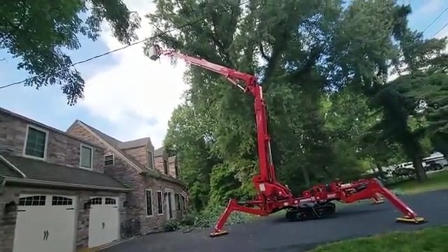 Tree Service Rochester NY Branch Specialists Rochester NY