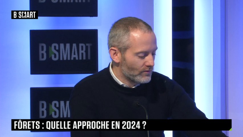 Investir dans les forêts : le point en 2024