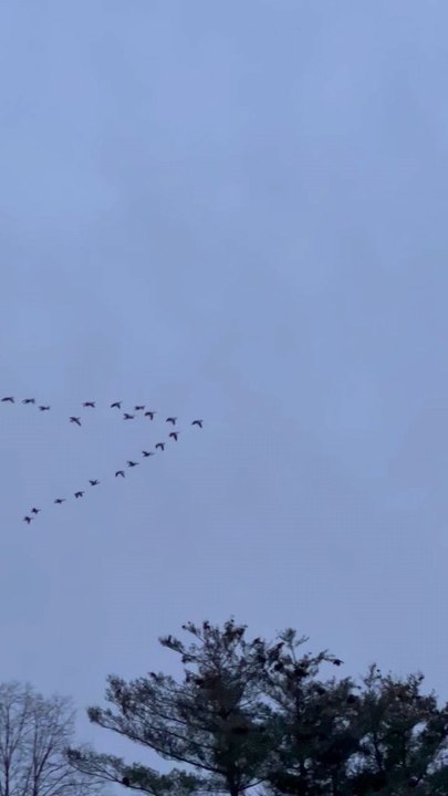 sky
