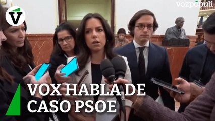 En Vox están convencidos de que hay más del PSOE en el Caso Koldo